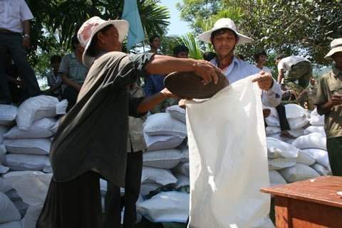 Gạo không phải là nguyên nhân gây ra 'bệnh lạ'