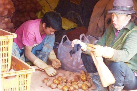 Rộ thông tin hành tây, khoai tây TQ chứa chất ướp xác?