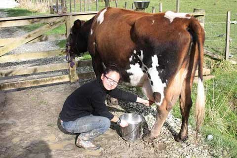 Gap year,  trải nghiệm mới của giới trẻ Trung Quốc
