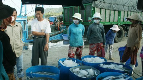 Chiêu tạo lòng tin để lừa đảo của thương lái Trung Quốc