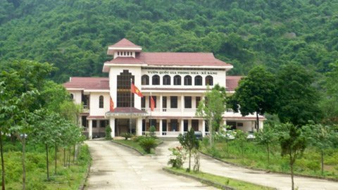 Vụ sưa nghìn tỷ: Kiểm lâm phủ nhận ‘tiếp tay’