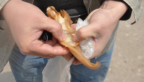 TQ phát hiện tai lợn làm từ chất gây ung thư