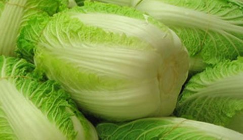 Chưa phát hiện Formaldehyde trên rau cải thảo ở VN