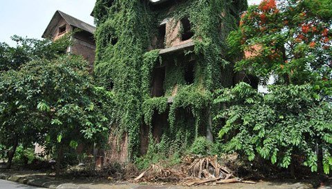 Số giàu đem đến dửng dưng?