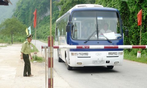 Vụ gỗ sưa nghìn tỷ: Xem xét trách nhiệm các cá nhân