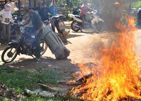 Vụ 3 người chết bí ẩn là do chất diệt cỏ?