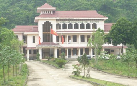 Đình chỉ công tác kiểm lâm bị cáo buộc tiếp tay lâm tặc