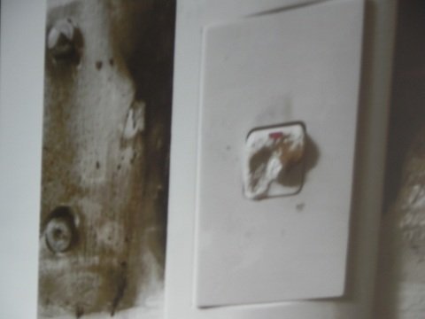 Chuyện cô bé tự 