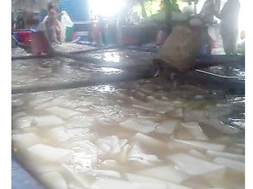 Chế biến thạch dừa trắng ngon nhờ phân bón