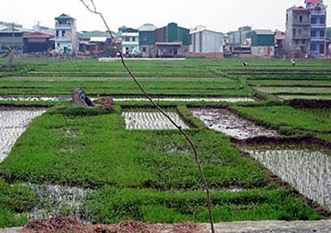 Cử tri: Thu hồi đất phải hài hòa lợi ích