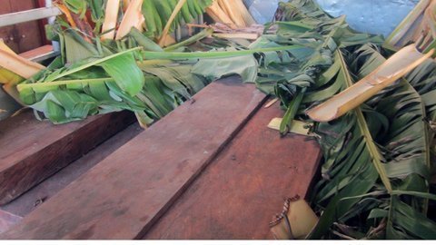 Gần 50 hộp gỗ lim, gõ phủ lá chuối bị bắt giữ