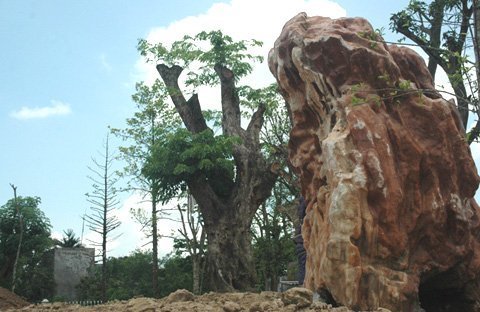Chủ khu nhà vườn trăm tỷ là con Bí thư Hải Dương?