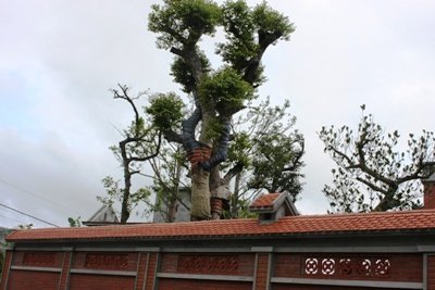 Con Bí thư Hải Dương nói về tài sản kếch xù