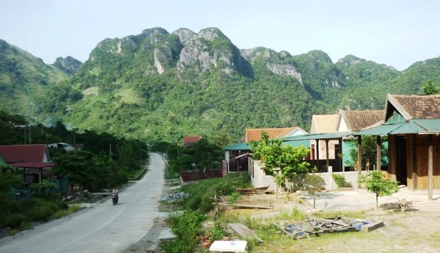 Xôn xao vụ '2 cây sưa trăm tỷ bị đốn'