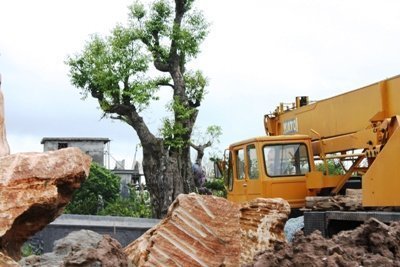 Nóng trong tuần: 'Giải mã' khu vườn trăm tỷ