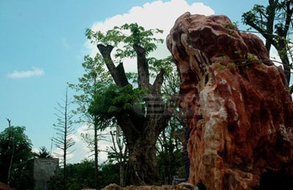 Tư dinh con Bí thư Hải Dương: 