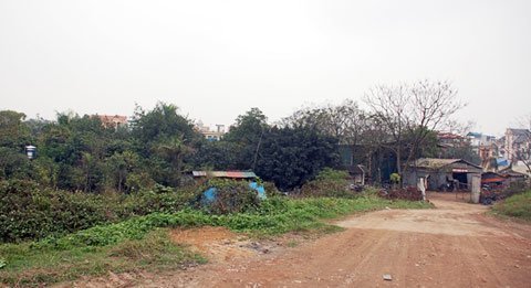 Bất động sản ế ẩm, đất dự án thành... sân bóng