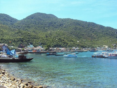 Hàng trăm con khỉ 'đột nhập' nhà dân lục lọi