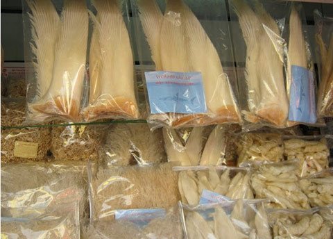 Dân Sài thành mua nhân sâm, vi cá mập tẩm bổ mùa thi