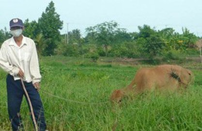 Chết dở vì khu công nghiệp: Hiệu quả ít hơn hậu quả!