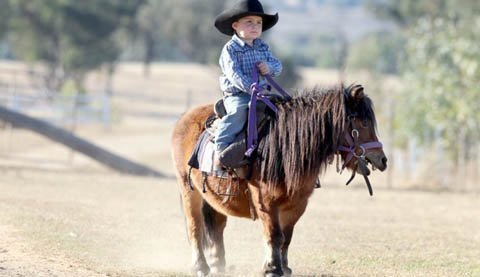 Gặp chàng cao bồi 2 tuổi