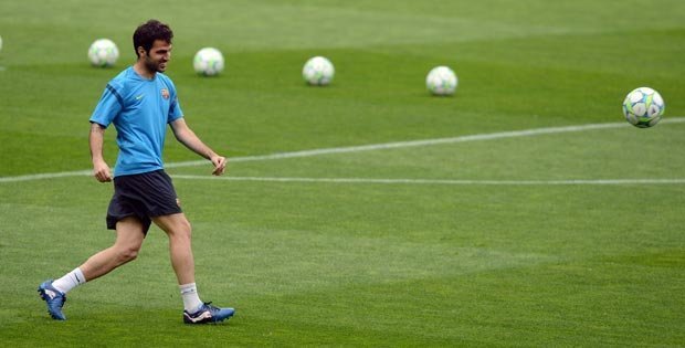 Fabregas có nguy cơ lỡ EURO 2012