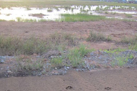 Ban bồi thường làm 'dịch vụ' cho doanh nghiệp