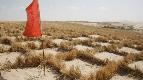 Choáng ngợp với 'phép màu' ở sa mạc Trung Quốc