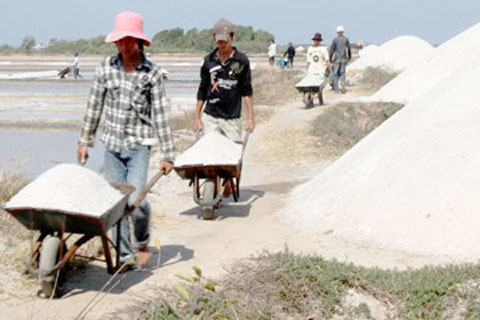 Đề xuất giao đất nông nghiệp tới 70 năm