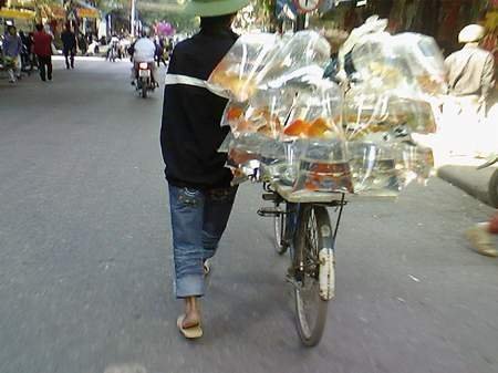 Những chuyện kỳ lạ ở Hà Nội trong mắt blogger Mỹ