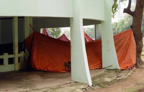 Voi một ngà ở vườn thú Hà Nội đã chết