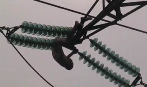 10 clip 'nóng': Khỏa thân trên dây điện cao thế