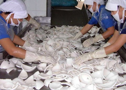 Thương lái Trung Quốc thao túng lúa, dừa khô