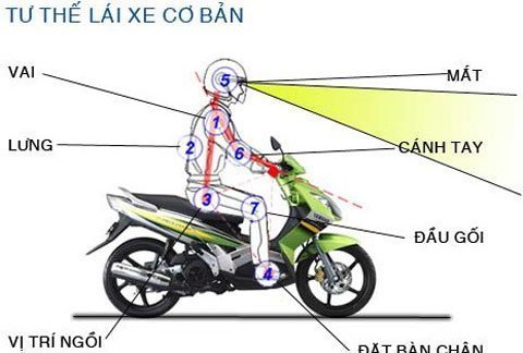 Ngồi lái xe máy thế nào cho đúng?