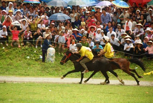 Lên Bắc Hà xem kỵ sĩ chân đất đua ngựa thồ