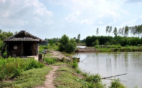 Nghi án 2 anh em ruột chết trong đầm tôm
