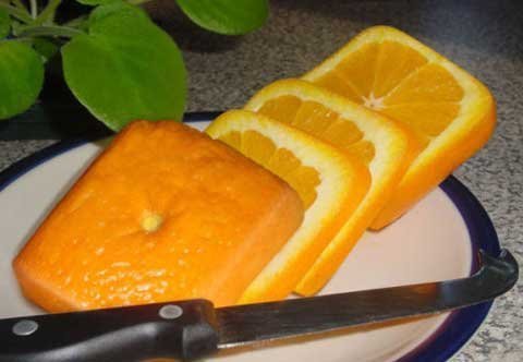 Nếu thế giới hình vuông