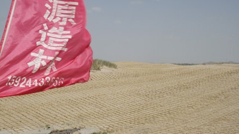 Bí mật sau kỳ tích “Trường thành Xanh” của Trung Quốc