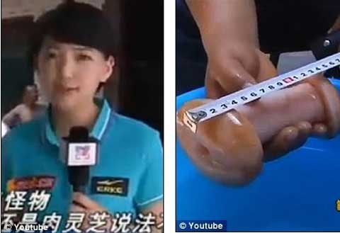 Phóng viên truyền hình nhầm đồ chơi tình dục với nấm hiếm