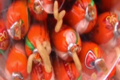 Xúc xích có dòi không phải do nhà sản xuất?