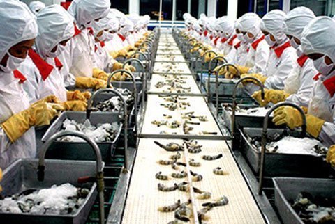 Cần gần 61.000 tỷ đồng phát triển ngành thủy sản