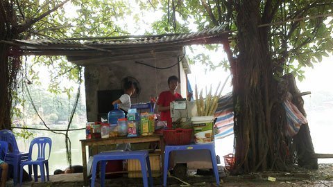 Bám gốc cây: Kiếm dăm chục triệu mỗi tháng