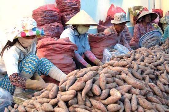 Dại rồi, biết khôn làm sao đây?