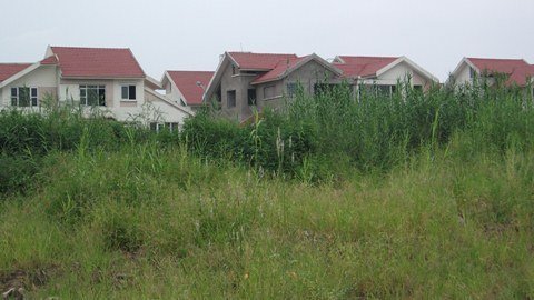 Điểm mặt chỉ tên công trình cỏ mọc um tùm