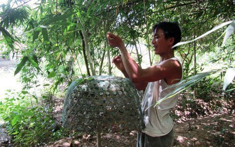 Kỳ lạ vườn chim quý ở xứ Nghệ