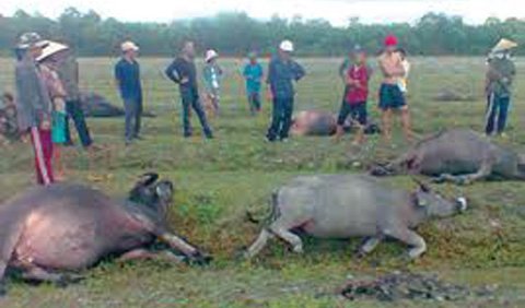 Ám ảnh chuyện đánh cắp tử thi bị sét đánh