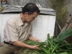 Bí ẩn lá cây giúp nam nữ... ngừa thai