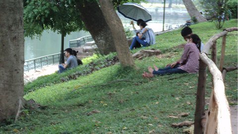 Lời “kêu cứu” từ những thảm cỏ