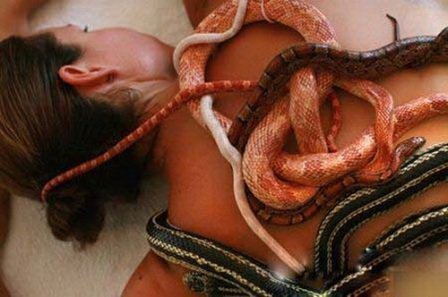 Cô gái nằm im để được mát xa bằng... rắn