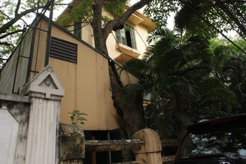 Kỳ dị những nhà hàng bám gốc cây ở Hà Nội